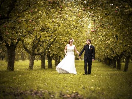 Ein Brautpaar unter Brunners Bio-Hochstamm-Obstbäumen